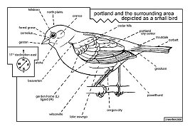 portland as a small bird